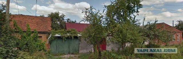 Какой вы видите Россию будущего?