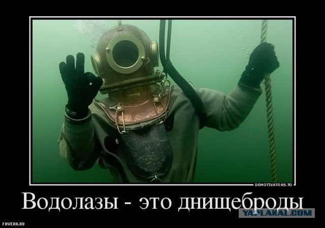 Мидии в ракушках - как их жрать?