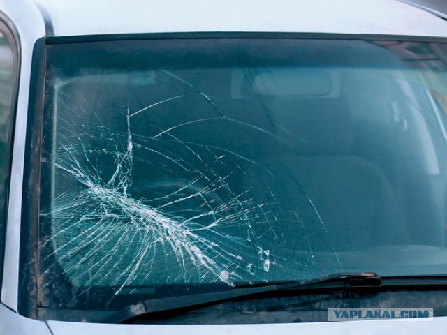 А ведь некоторые идеи безумных японцев действительно хороши