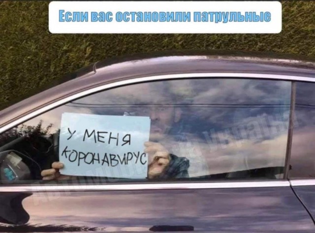 Проверил, как за ваши налоги работает ДПС