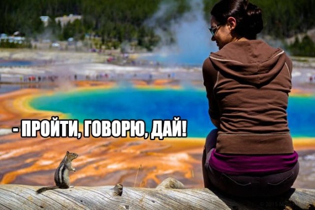 Так себе картинки #11