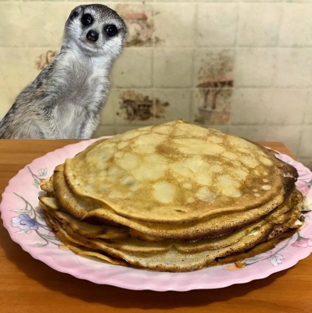 Эти забавные животные