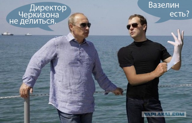 Медведев в образе