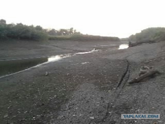 Симферопольское водохранилище достигло критического уровня обмеления