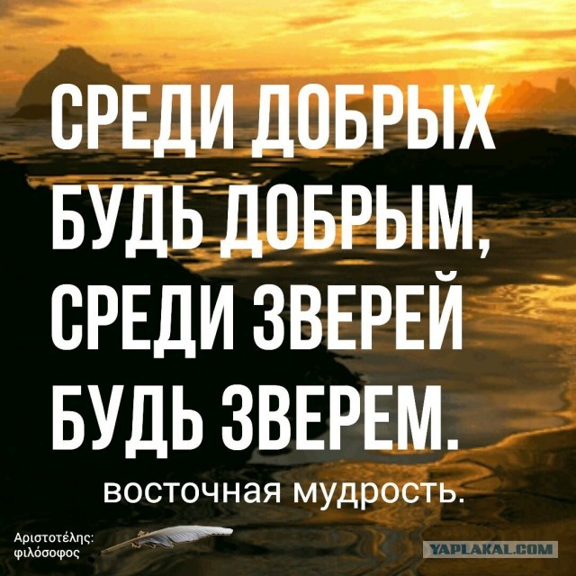 За что Ломоносова приговорили к смертной казни?