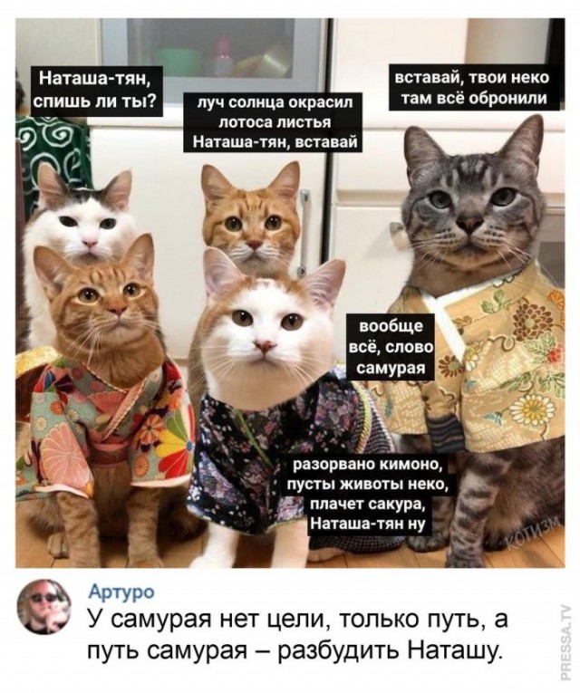 Картинки и мемы для настроения 030