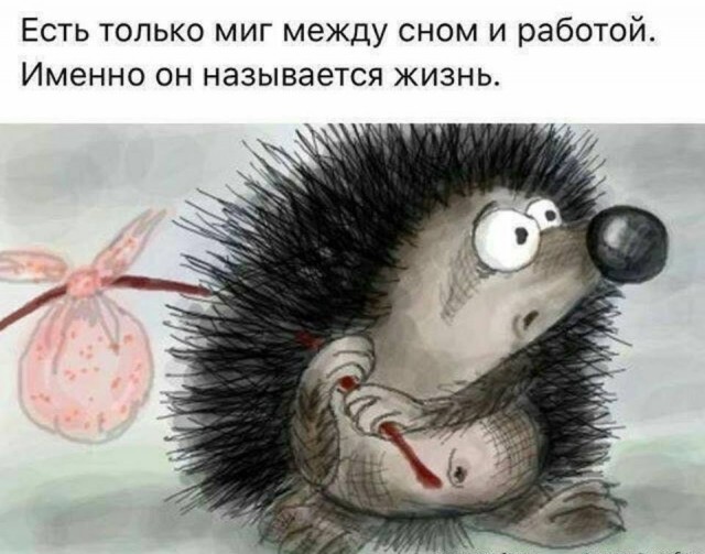 Кретинизмы от KV и KO 28.01.2021