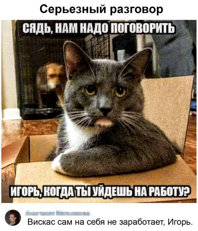 Бредзона 01.03.21