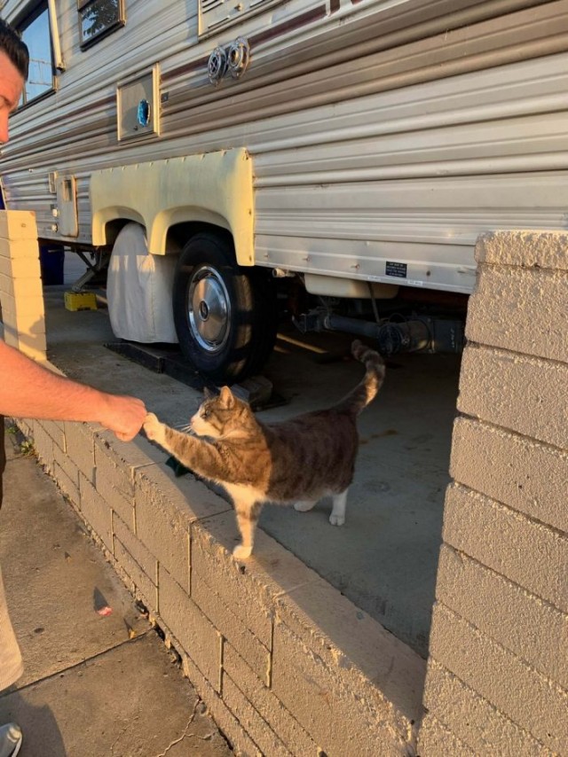 Картинки и мемы для настроения 05.08.2021