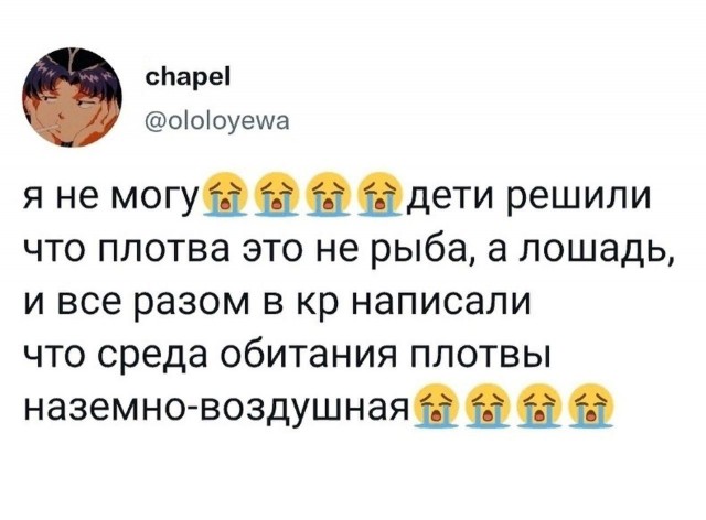 Так себе картинки 10.10.21