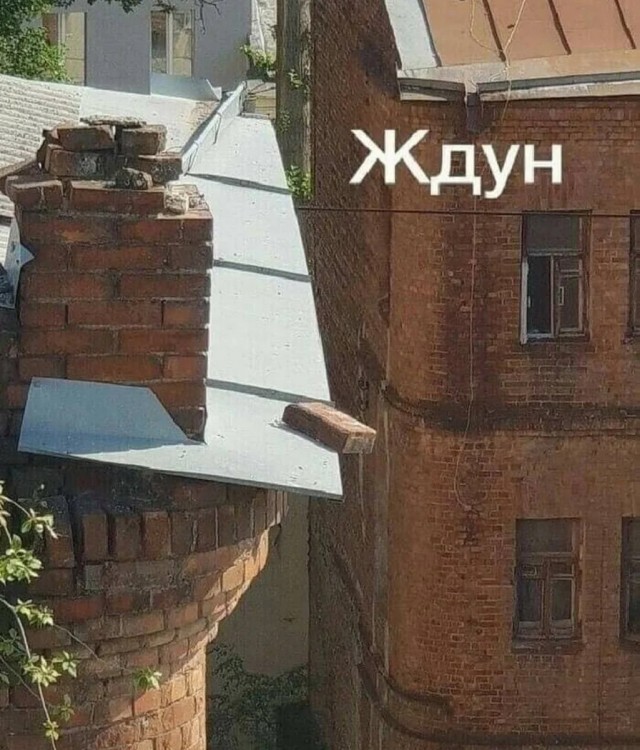 Так себе картинки 08.11.21