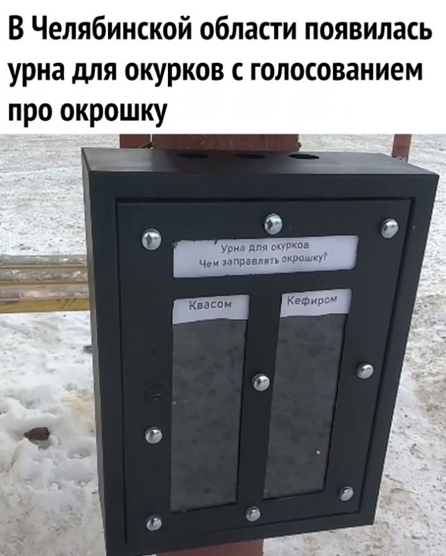 Человек собаке друг и другие картинки и мемы  под настроение