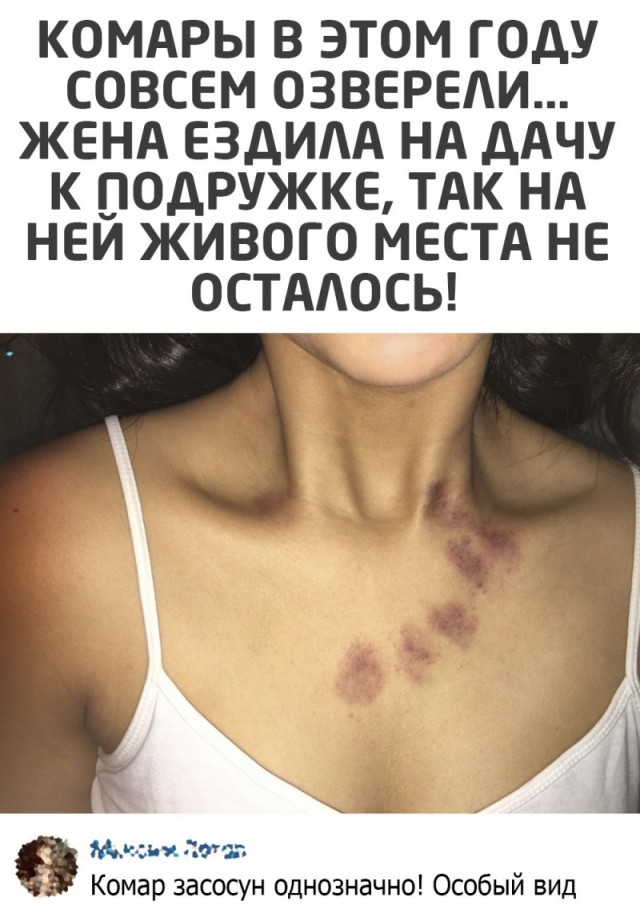 Картинки и мемы, всем прекрасных выходных