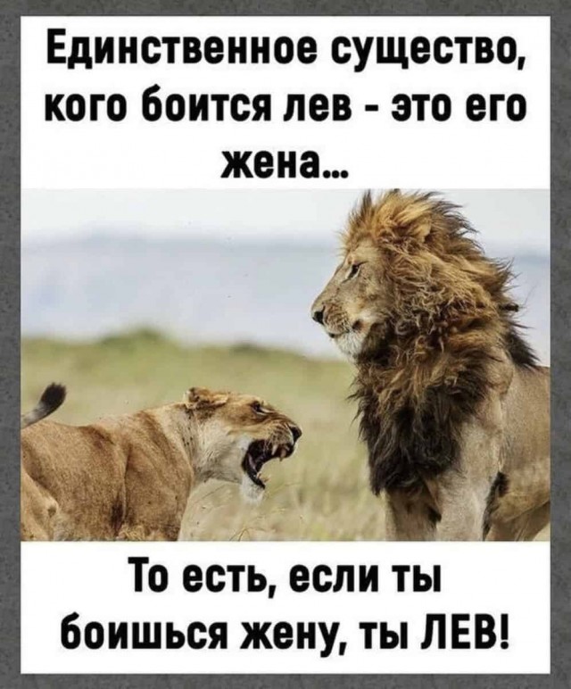 Баянисто-небаянистый юмор 9.03.22