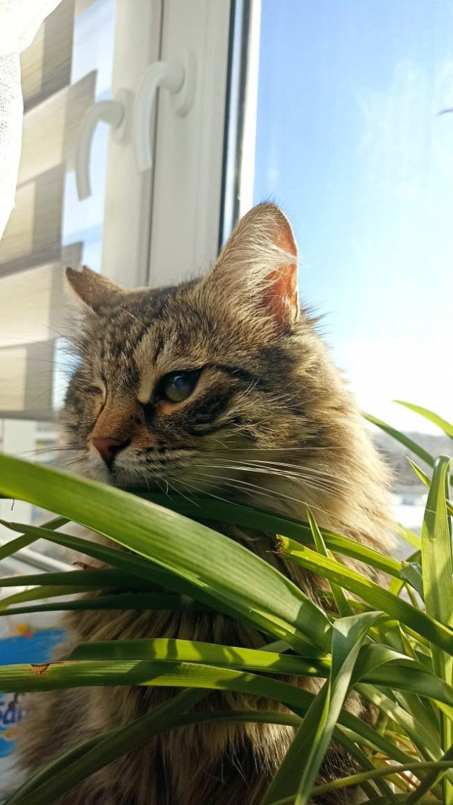 Ну, поехали в котоввторник!