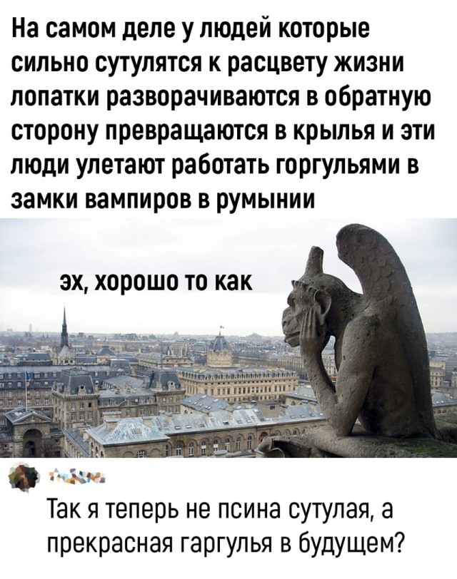 Так себе картинки 17.05.22