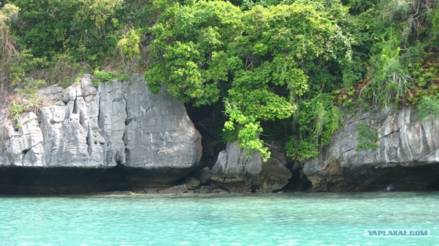 Такой разный остров Самуи