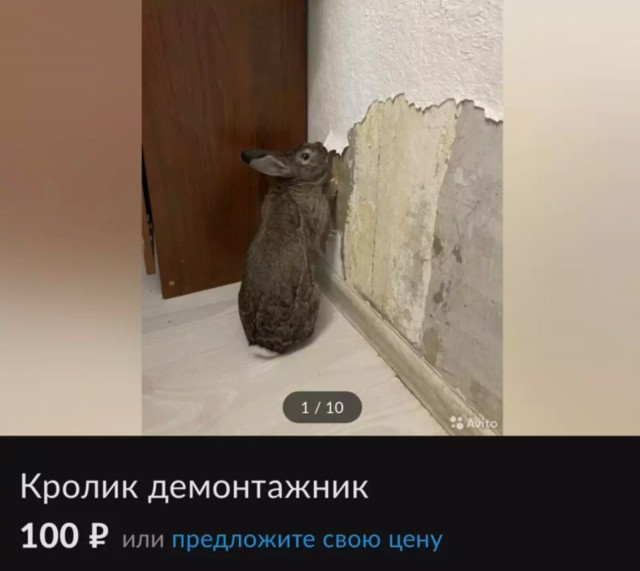 Баянисто-небаянистый юмор 25.07.22