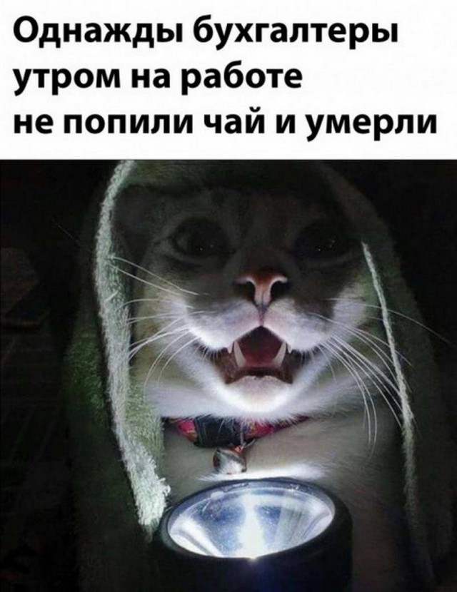 Картинки и мемы. Выходные близко, близко...