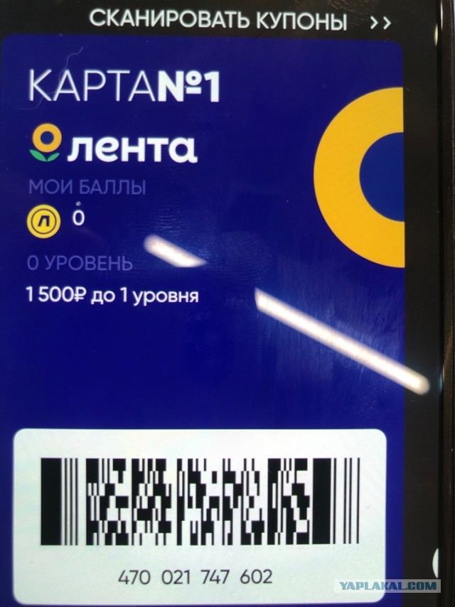 Какое последнее фото у вас в телефоне?