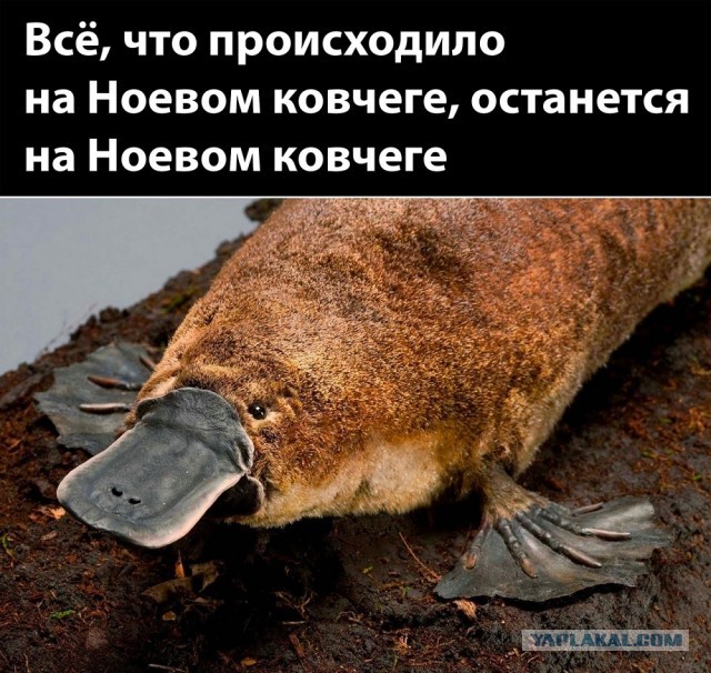 Так себе картинки 17.10.22