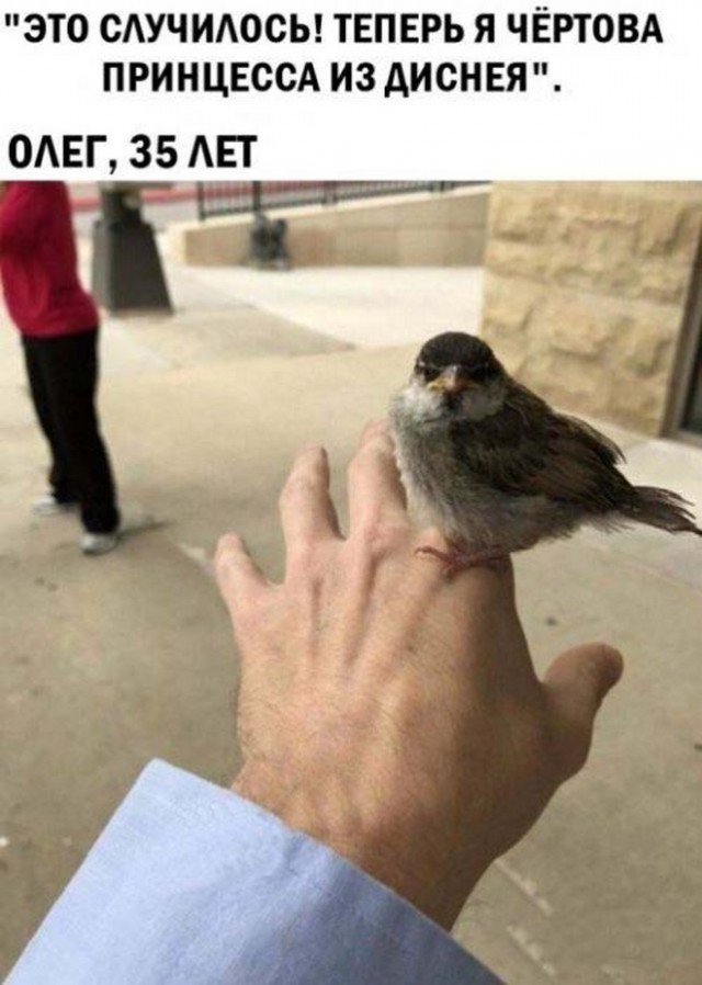 Поржать немного с утра!
