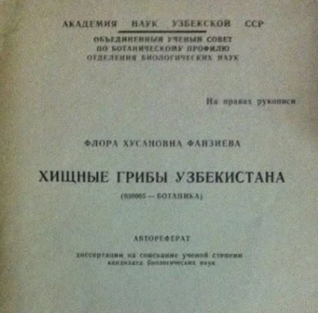 Разомнем ленивый мозг после салатов