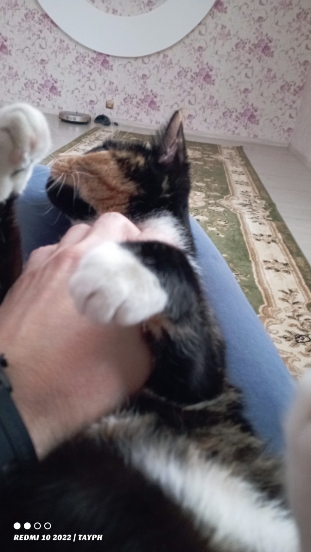 Вот он, герой, и ему ни капли не стыдно