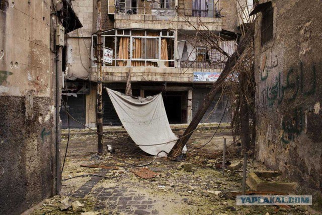 Есть ли жизнь в Алеппо?