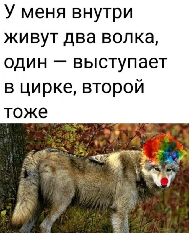 Так себе картинки 20.04.23