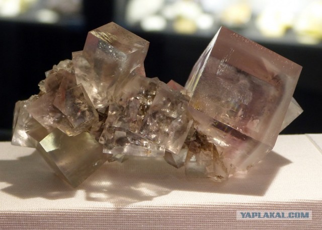Mineralientage München 2018