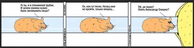 Победная поступь идиотизма по планете – том 13