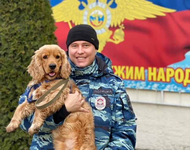 Подборка служебных собак