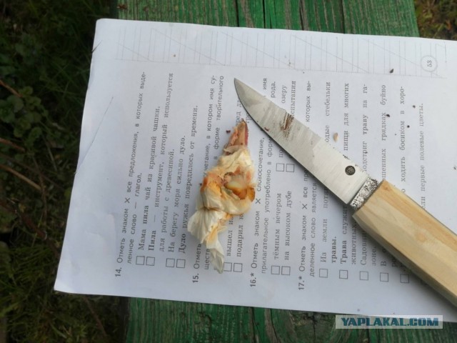 Рукоделия пост