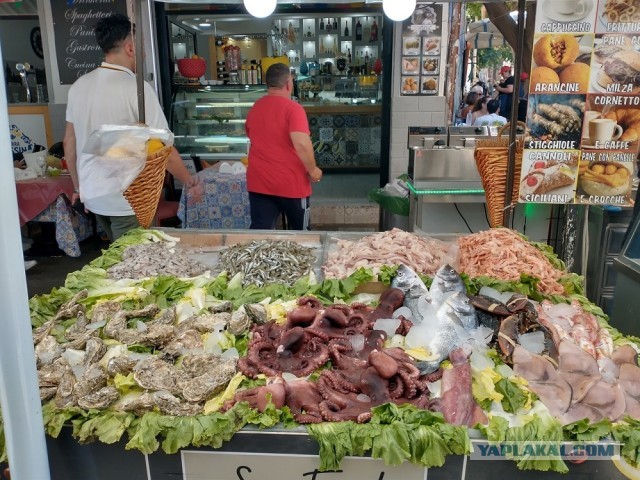 Что может дать 40-50 летняя старушка парню ровеснику