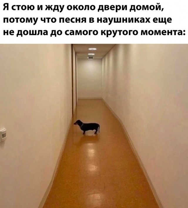 Скупка краденого из сети 09-08-2023