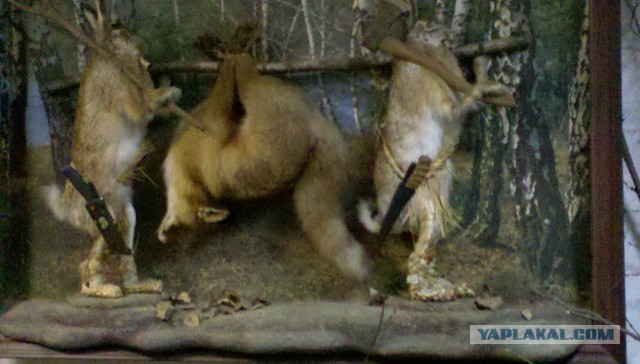 Это что ? о_О