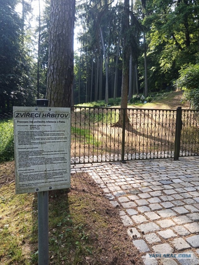 Кладбища в Чехии