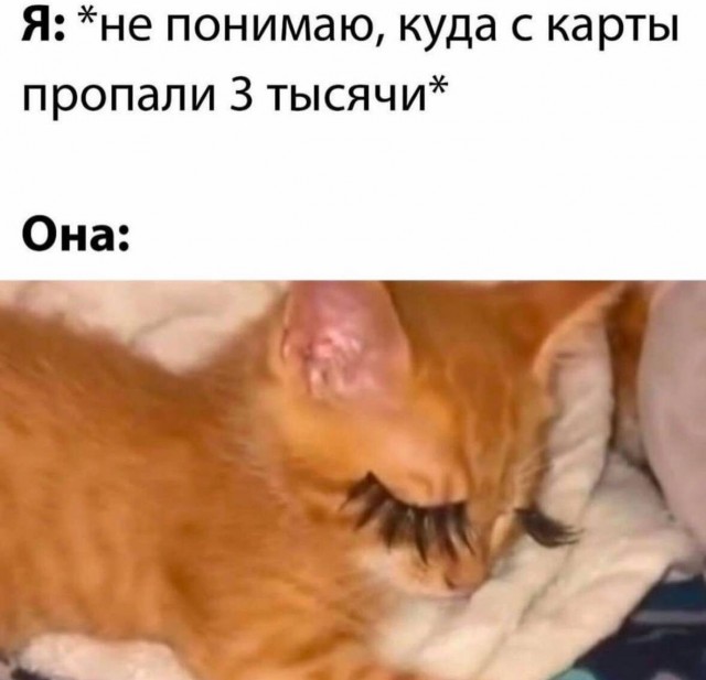 Юмор в картинках и без 08.11.2023