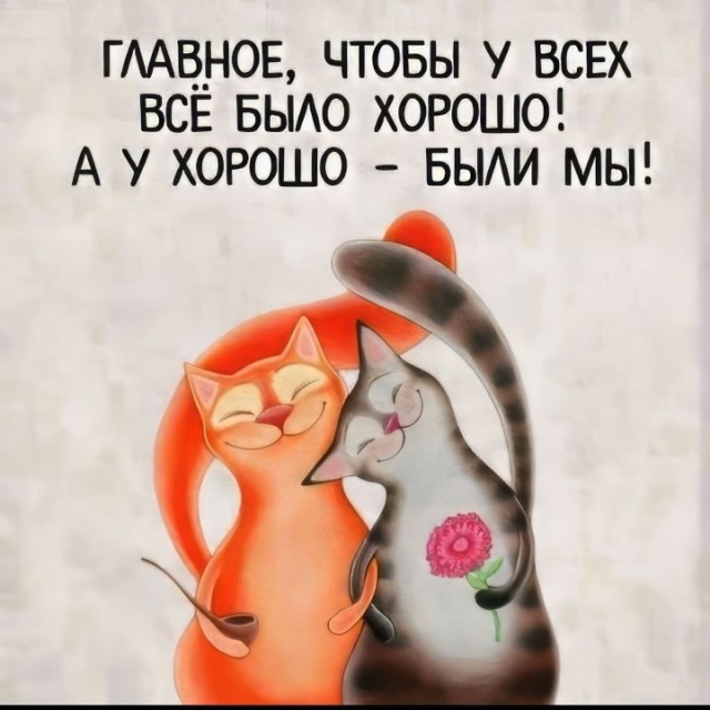 Жизнь домашнего приюта "Котоленд" 436