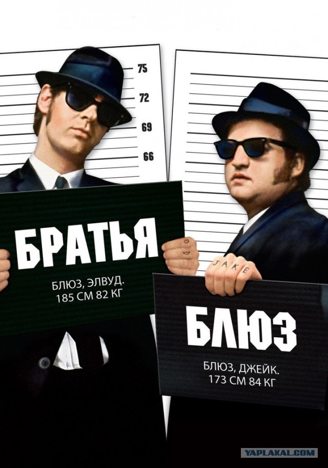 Фильмы которые запомнились