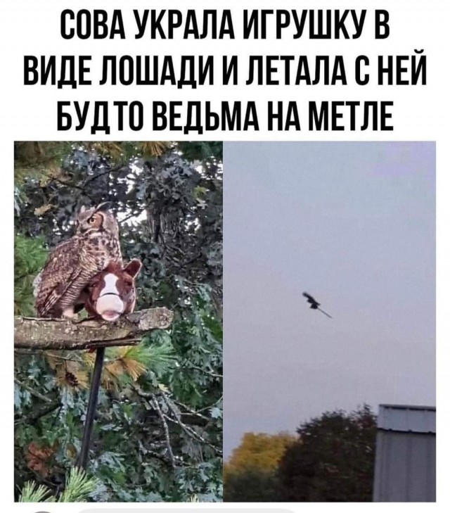 Весёлый полтишок 27.05.24