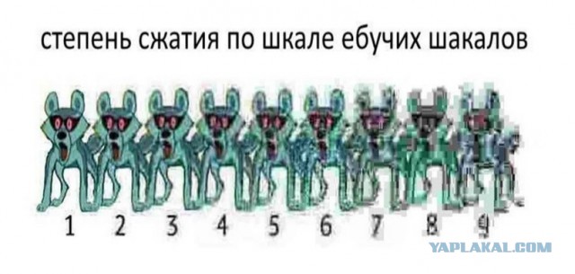 Вика из Блокнота