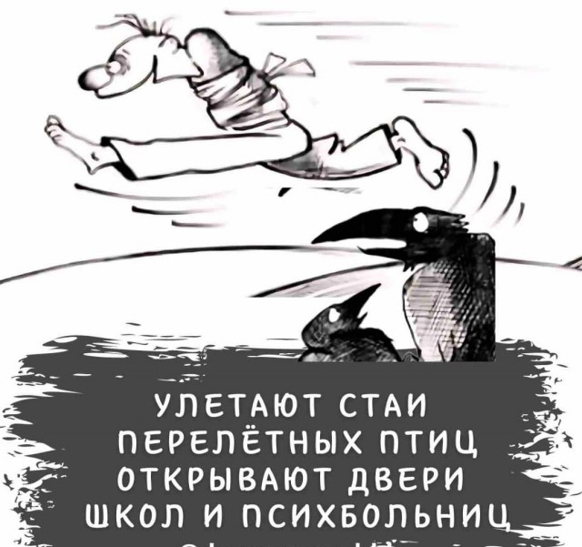 Завалялось тут случайно немного забавных картинок