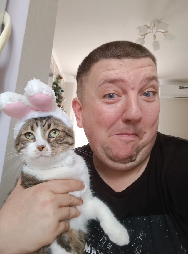 Котэ, совэ и все-все-все