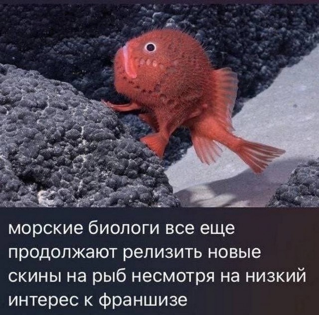 Нуштош 14.01.2025. Теперь ждем лета (s3e2)