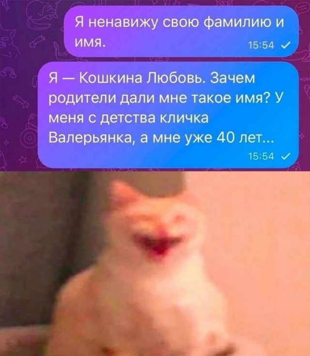 Картинки выходного дня