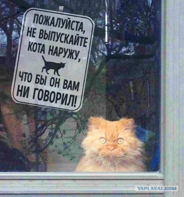 Картинки не для всех
