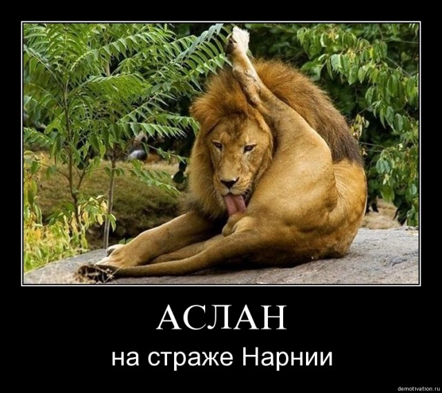 Ялтинская банда орудует, милиция бездействует!