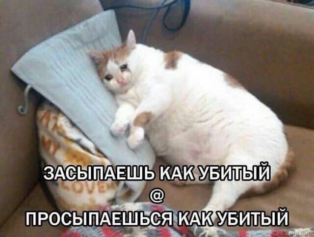 Картинки 23.04.25